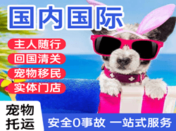 日照山字河航空物流国际宠物托运 【国